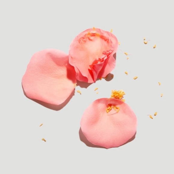 Beautycounter The Clean Deo- Clean Rose - Picture 4 of 4